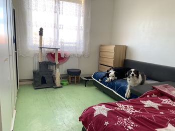 2. pokoj - Prodej bytu 3+kk v osobním vlastnictví 120 m², Mšecké Žehrovice