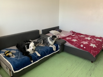 2. pokoj - Prodej bytu 3+kk v osobním vlastnictví 120 m², Mšecké Žehrovice