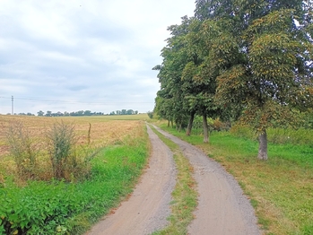 a u kaštanů už jsme skoro tam. - Prodej pozemku 1516 m², Rakovník