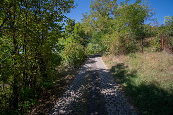 Prodej pozemku 3827 m², Křešice