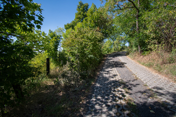Prodej pozemku 3827 m², Křešice