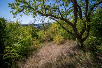 Prodej pozemku 3827 m², Křešice