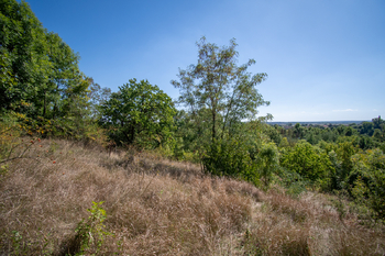 Prodej pozemku 3827 m², Křešice