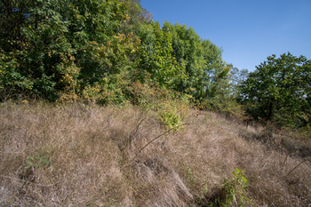 Prodej pozemku 3827 m², Křešice