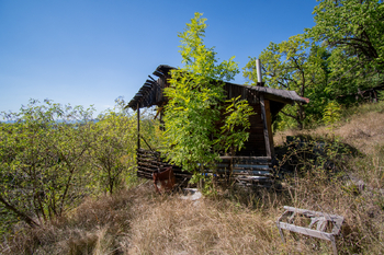 Prodej pozemku 3827 m², Křešice