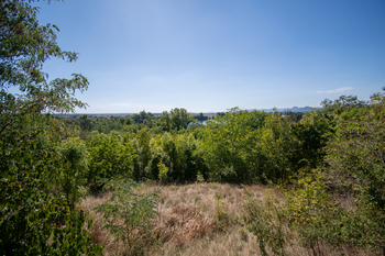 Prodej pozemku 3827 m², Křešice