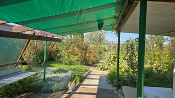 Výhled do zahrady za domem - Prodej domu 82 m², Vyškov