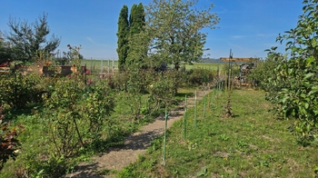 Zahrada za domem - Prodej domu 82 m², Vyškov
