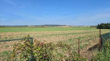 Výhled za zahradou - Prodej domu 82 m², Vyškov