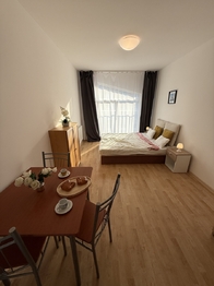 Pronájem bytu 1+kk v osobním vlastnictví 26 m², Plzeň