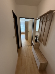 Pronájem bytu 1+kk v osobním vlastnictví 26 m², Plzeň