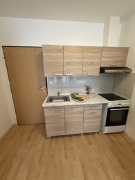 Pronájem bytu 1+kk v osobním vlastnictví 26 m², Plzeň