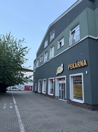 Pronájem bytu 1+kk v osobním vlastnictví 26 m², Plzeň