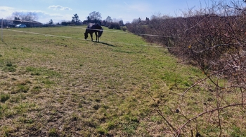 Prodej pozemku 600 m², Odolena Voda