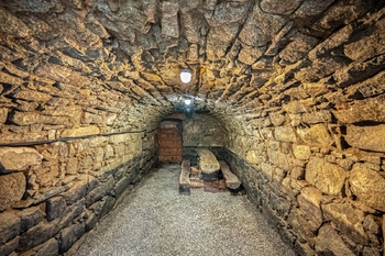 Prodej ubytovacího zařízení 1245 m², Lešany