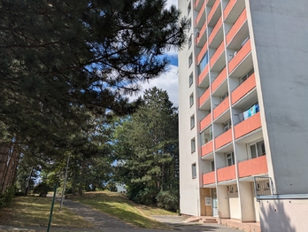 Pronájem bytu 3+1 v osobním vlastnictví 63 m², Ústí nad Labem