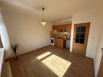 Prodej bytu 1+1 v družstevním vlastnictví 35 m², Bystřany
