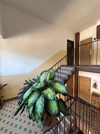 Prodej bytu 1+1 v družstevním vlastnictví 35 m², Bystřany
