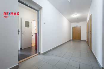 Pronájem bytu 1+kk v osobním vlastnictví 30 m², Klecany
