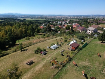 Prodej pozemku 4142 m², Srubec