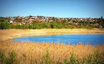 Prodej pozemku 4142 m², Srubec