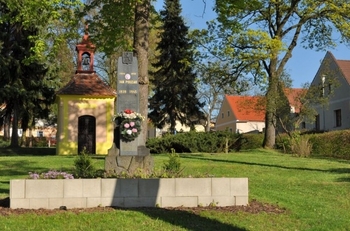 Prodej pozemku 4142 m², Srubec
