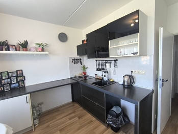 Pronájem bytu 1+1 v osobním vlastnictví 39 m², Karlovy Vary