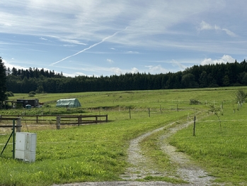Prodej pozemku 12992 m², Hořice na Šumavě