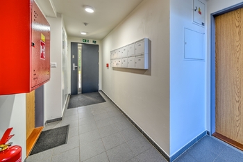 Prodej bytu 2+1 v osobním vlastnictví 51 m², Lošany