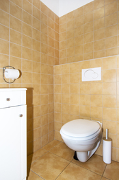 oddělený WC - Prodej bytu 3+kk v osobním vlastnictví 193 m², Nupaky