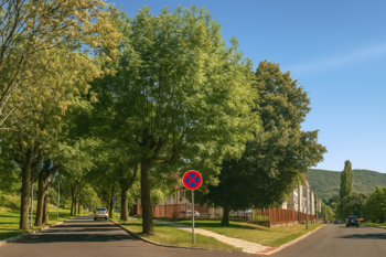 Příjezdová část - lokace bytových domů. - Prodej nájemního domu 1106 m², Ústí nad Labem