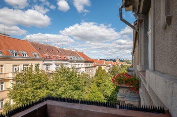 Výhled do korun stromů - Prodej bytu 3+1 v osobním vlastnictví 95 m², Praha 6 - Bubeneč