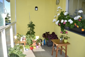 Prodej bytu 2+1 v družstevním vlastnictví 72 m², Bělá pod Bezdězem
