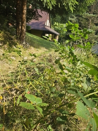 Prodej chaty / chalupy 150 m², Morávka