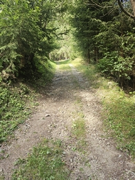 Prodej chaty / chalupy 150 m², Morávka
