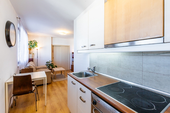 Prodej bytu 2+kk v osobním vlastnictví 51 m², Praha 3 - Žižkov