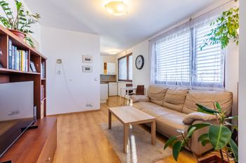 Prodej bytu 2+kk v osobním vlastnictví 51 m², Praha 3 - Žižkov
