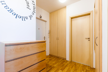 Prodej bytu 2+kk v osobním vlastnictví 51 m², Praha 3 - Žižkov