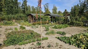 Prodej chaty / chalupy 20 m², Ostrava