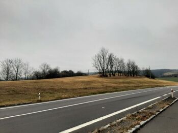 Prodej pozemku 33986 m², Březová nad Svitavou