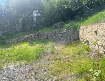 Prodej pozemku 2136 m², Košíky