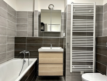 Prodej bytu 2+kk v osobním vlastnictví 56 m², Chýně