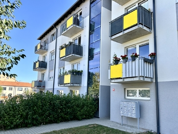 Prodej bytu 2+kk v osobním vlastnictví 56 m², Chýně