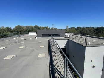 Prodej domu 253 m², Horní Domaslavice