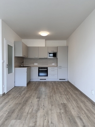 Kuchyň - Pronájem bytu 2+kk v osobním vlastnictví 45 m², Praha 9 - Černý Most