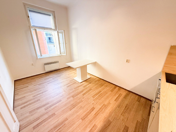 Pronájem bytu 1+1 v osobním vlastnictví 50 m², Praha 1 - Nové Město