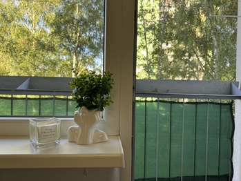 Pronájem bytu 2+1 v osobním vlastnictví 56 m², Děčín