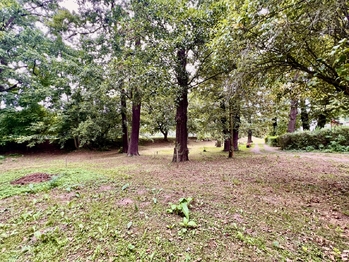 Prodej pozemku 1229 m², Brňany