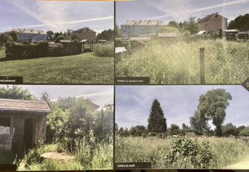 Pronájem pozemku 239 m², Toužim