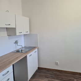 Pronájem bytu 1+1 v osobním vlastnictví 47 m², Příbram